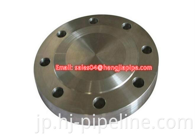 ASME RF blind flange